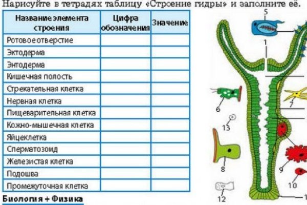 Кракен сайт онион kramp.cc